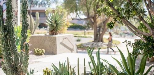 a view of the pitzer cactus landscaping with a student walking in the background